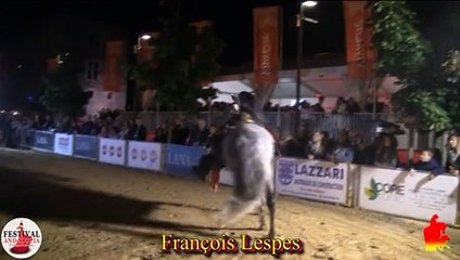 Festival Andalucia Oupeye 2017 - Voltige et Feu Samedi soir