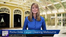 Pocka Dola: Carpet Cleaning Melbourne Notting Hill Excellent Five Star Review by Jessica Murphy