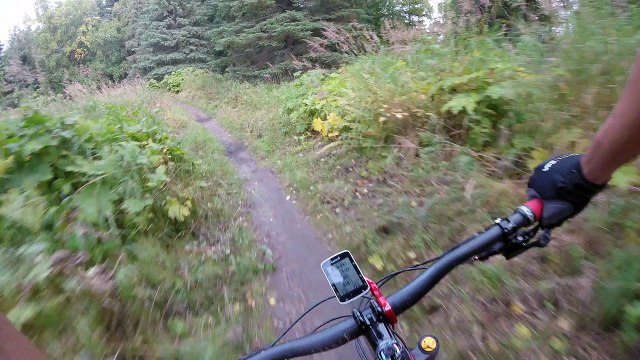 Surprise pendant une randonnée à VTT
