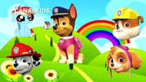 PATRULHA CANINA PAW PATROL WRONG HEADS FINGER FAMILY NURSERY RHYMES LEARNING COLORS VIDEO FOR CHILDR