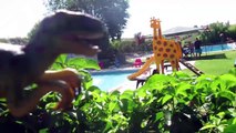 Dino, el dinosaurio de juguete y Chase La Patrulla Canina van a la piscina y bucean