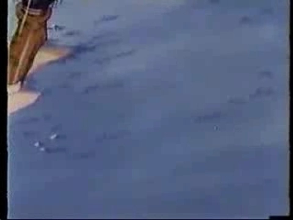 Wu Tang Clan - Anime Music Video -Tiger Style