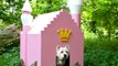 20 Most Luxurious Dog Houses