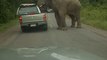 Cet éléphant affamé détruit une voiture pour trouver de la nourriture
