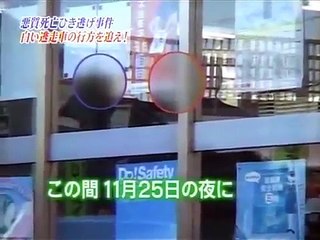 激録！交通警察24時2009 その2