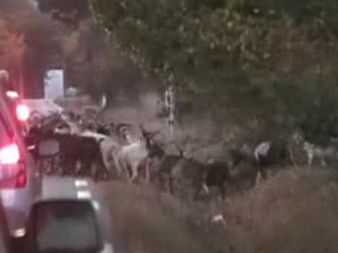 Road trip Team BBR in France