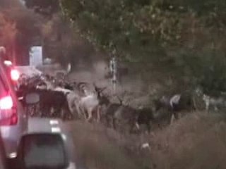 Road trip Team BBR in France