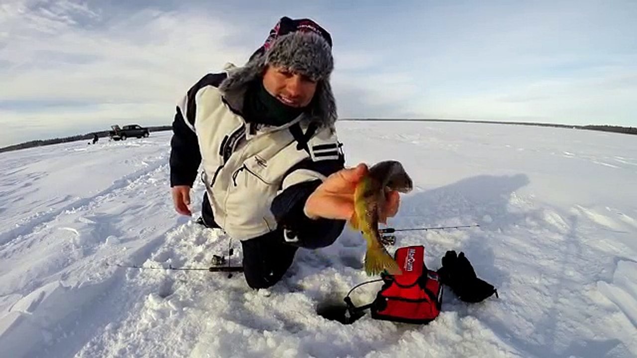 Gull Lake Alberta Ice Fishing Whitefish Perch Pike and Walleye Dailymotion Video