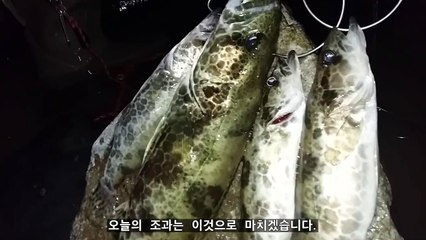 [쏘가리에 반하다] 허리 통증과 맞바꾼 쏘가리 망치 입질! SOOGARI!