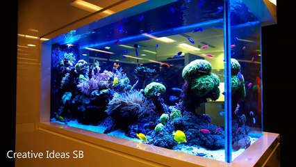 40 Aquarium Fish Ideas 2017 - Creative Home Design Fish Tank and Colors Part.1