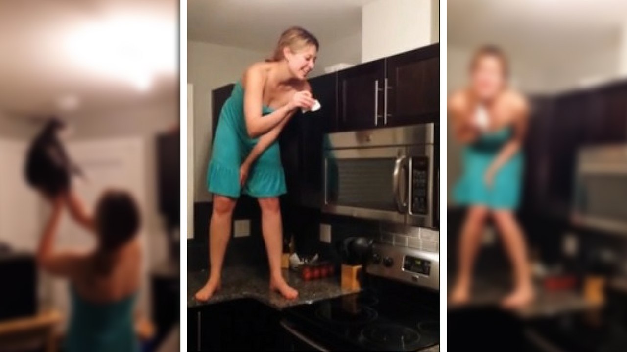 Drôle-Elle n'arrive pas à tuer une mite..