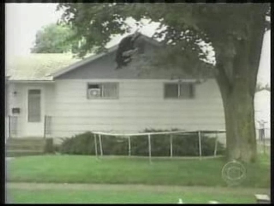 Funny Videos - Bear falls out of tree trampoline