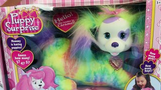 NEW Puppy Surprise new Surprise Toys Dog and Cat with Kitty Surprise Toy Review by DisneyCarToys