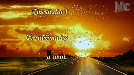 Tinerii din Vicov - Ce sublima indurare a avut de noi in asta lume