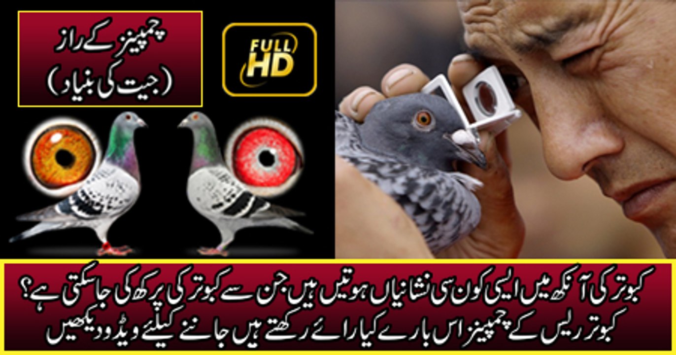 Theories and facts (آنکھ کی نشانیوں کی حقیقت )