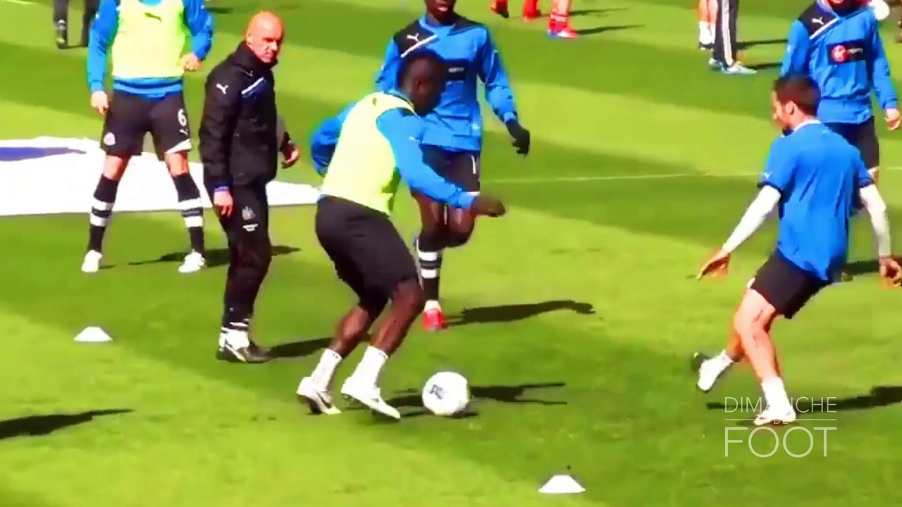 #DDF DOC TIOTE :Un éléphant s'est couché