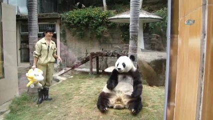 Dünyanın En Yaşlı Pandası Basi Öldü