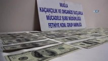 Fethiye'de Piyasaya Sahte Dolar Sürmeye Çalışan 3 Kişi Tutuklandı