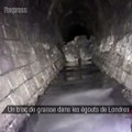 Une boule de graisse de 130 tonnes dans les égouts de Londres