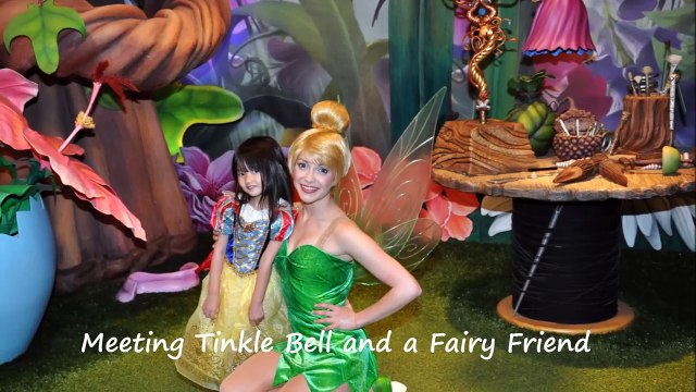Meeting Disney Princesses at Walt Disney World