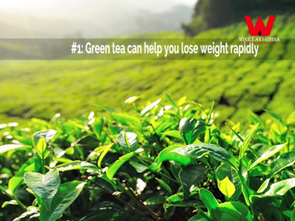 Myths & Facts about "Green Tea"