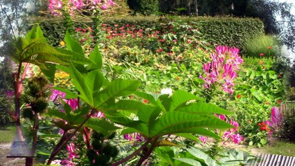 Łódzki Ogród Botaniczny