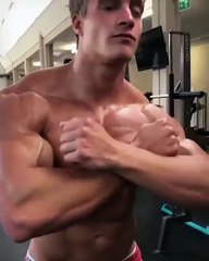 Pectorales WTF
