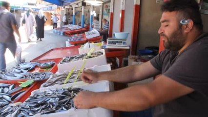 Giresun'da Yerli Hamsi 15 Liradan Tezgahlardaki Yerini Aldı