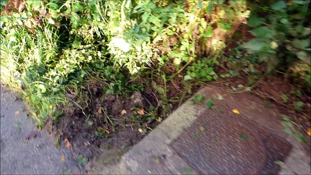 Plougastel Daoulas : mousse party dans les serres industrielles ?