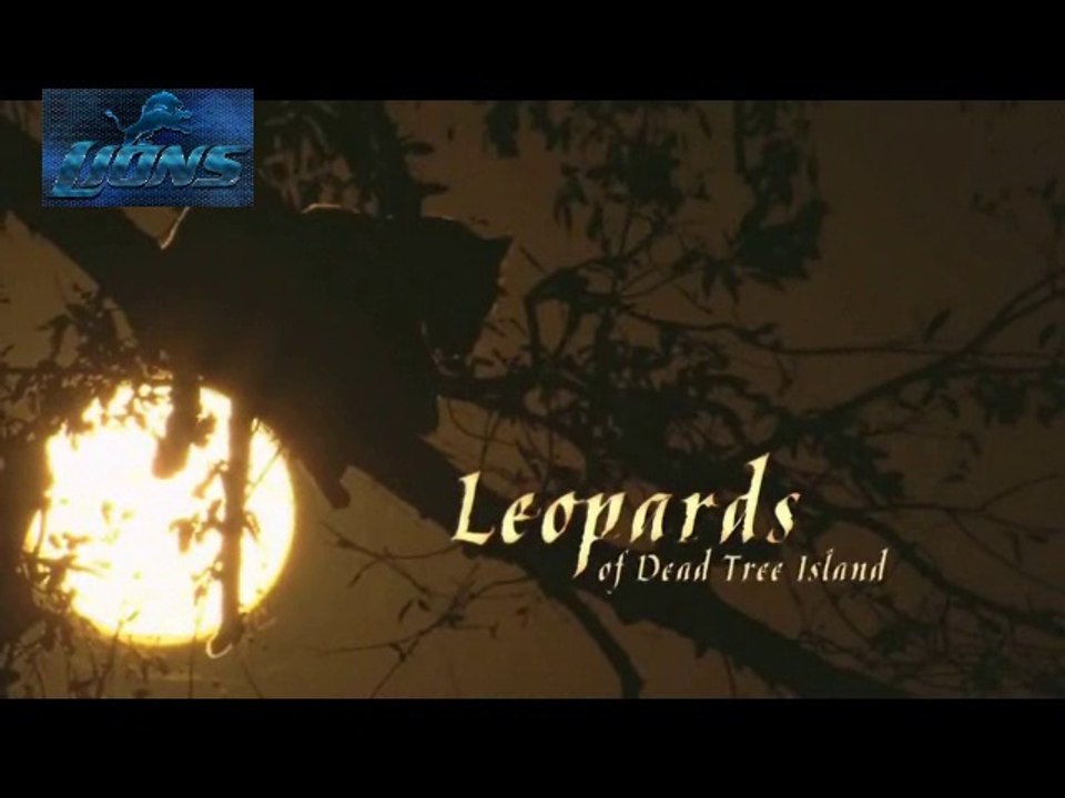 Wild Leopards of Dead Tree Island - Lions fighting to death