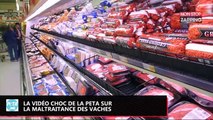 PETA : la nouvelle vidéo choc pour dénoncer la maltraitance des vaches