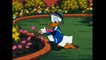 ᴴᴰ Donald Duck & Chip and Dale Cartoons - Disney Pluto, Mick-9