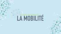 La mobilité en quelques chiffres