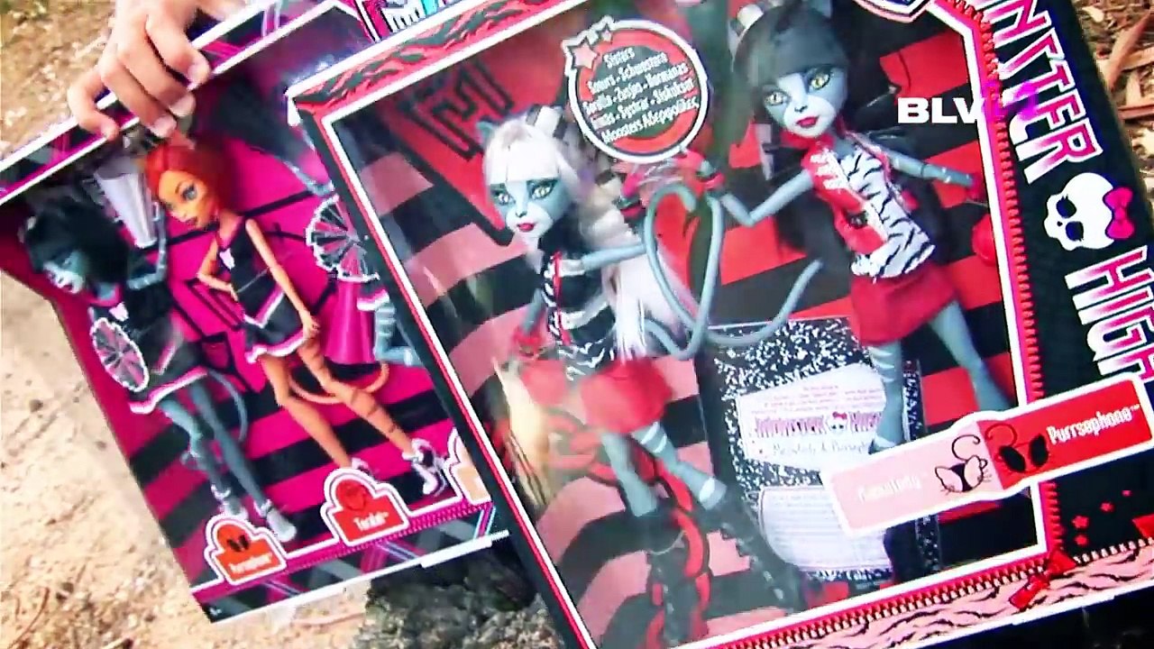 Куклы Монстер Хай обзор (Monster High) Школа Монстров (#20.2 - моя коллекция кукол)