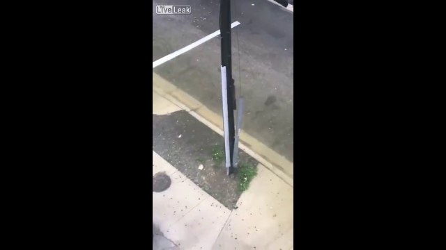 Un poisson chat nage dans la rue à Miami après l'ouragan Irma !