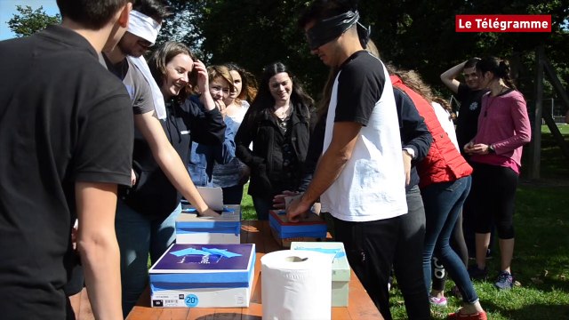 Quimper. Plus de 150 étudiants aux Olympiades de la fac