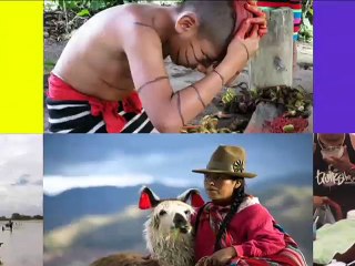 La recolección de conchas es el sustento para algunas familias de San Lorenzo