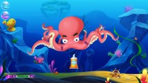 Ocean Doctor - Learn How to Take Care of Sea Animals