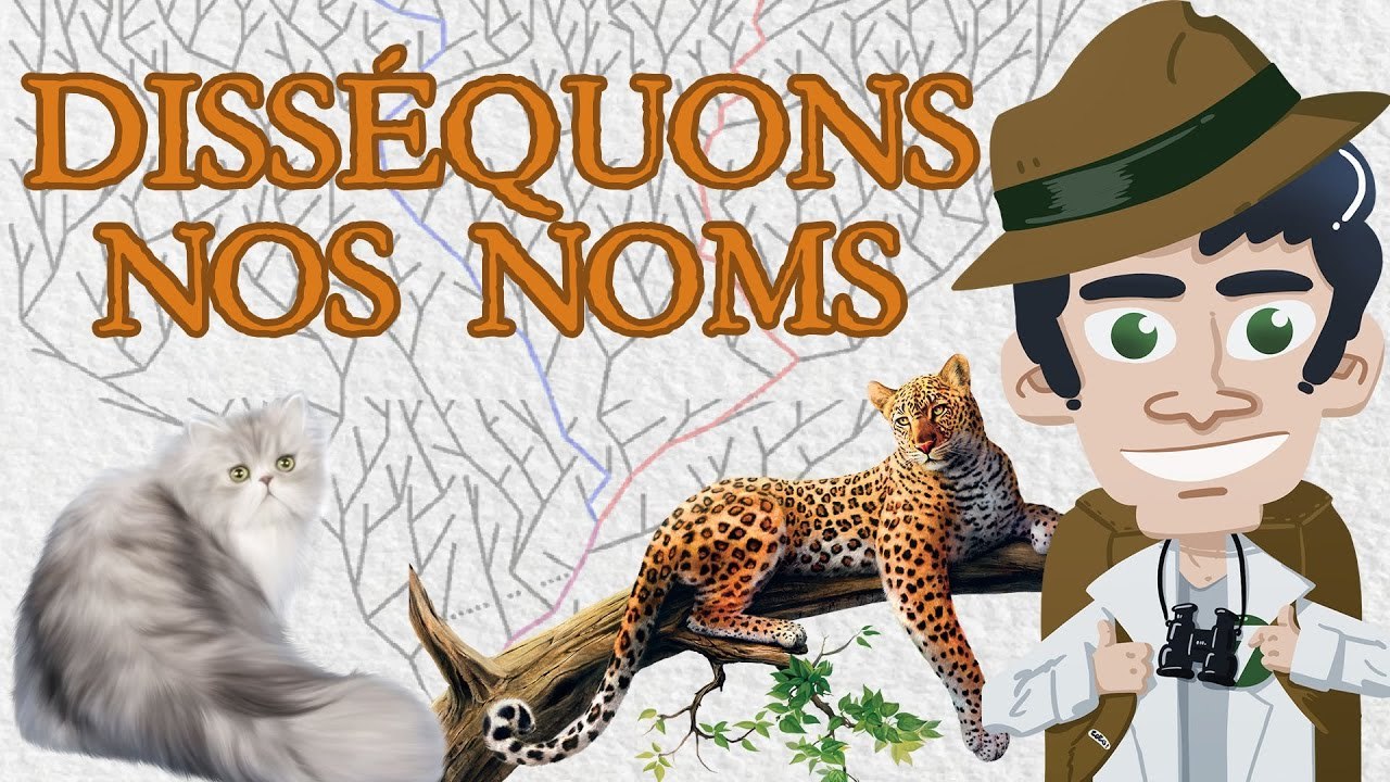 Disséquons nos noms - (Taxonomie)