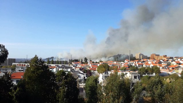 Ermesinde... matas ao abandono junto ás habitações!!