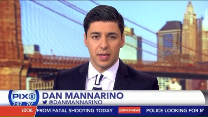 2 Arrested After Elderly Woman Killed, Grandson Injured in New York