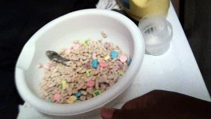 Kenmore Ultra Fabric Care Heavy Duty 80 Series