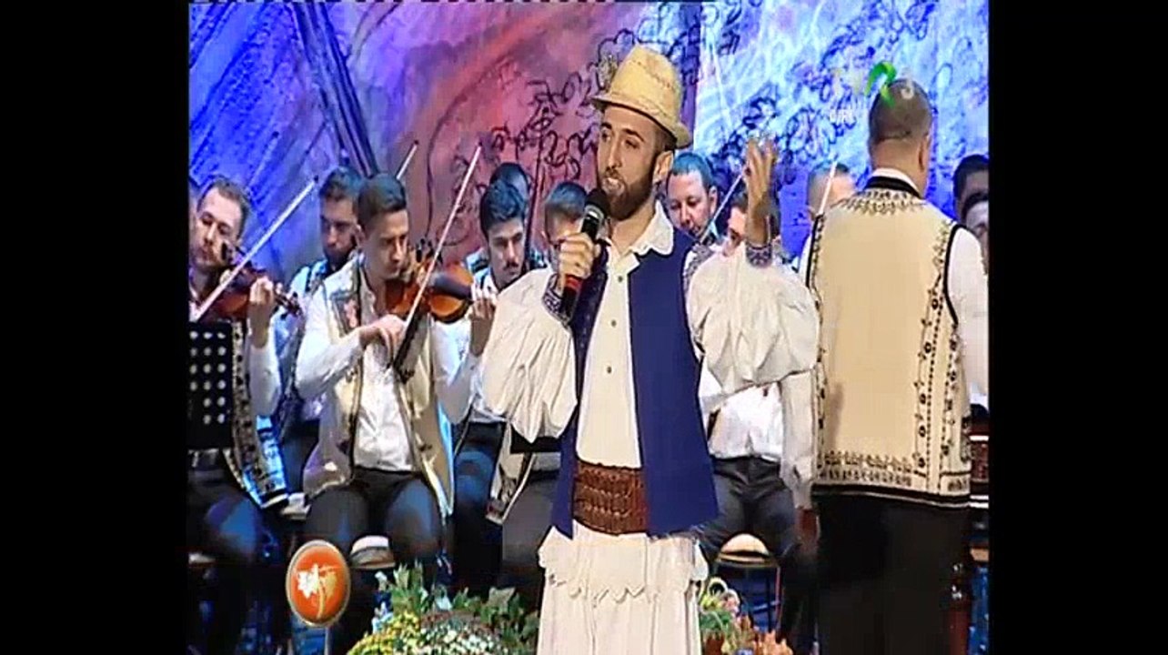 Alexandru Pop - Festivalul National de folclor Strugurele de aur - Alba Iulia - 14.09.2017