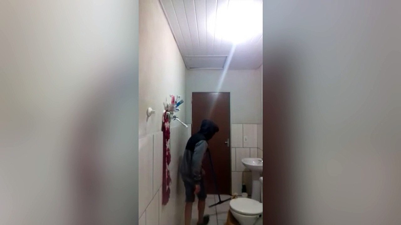 Quand un homme et un chat tentent de chasser un rat !