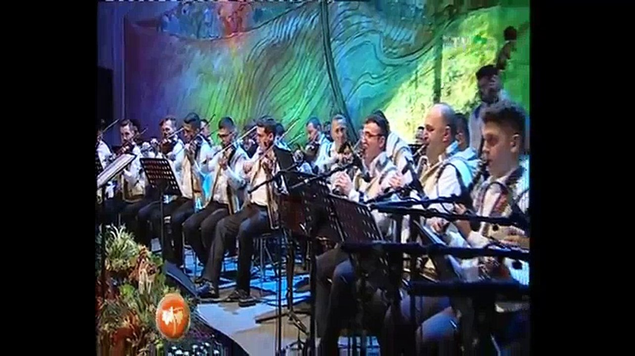 Daniel Tarlea - Festivalul National de folclor Strugurele de aur - Alba Iulia - 14.09.2017