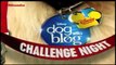 Dog With A Blog Challenge night - G Hannelius Francesca Capaldi and Blake Michael