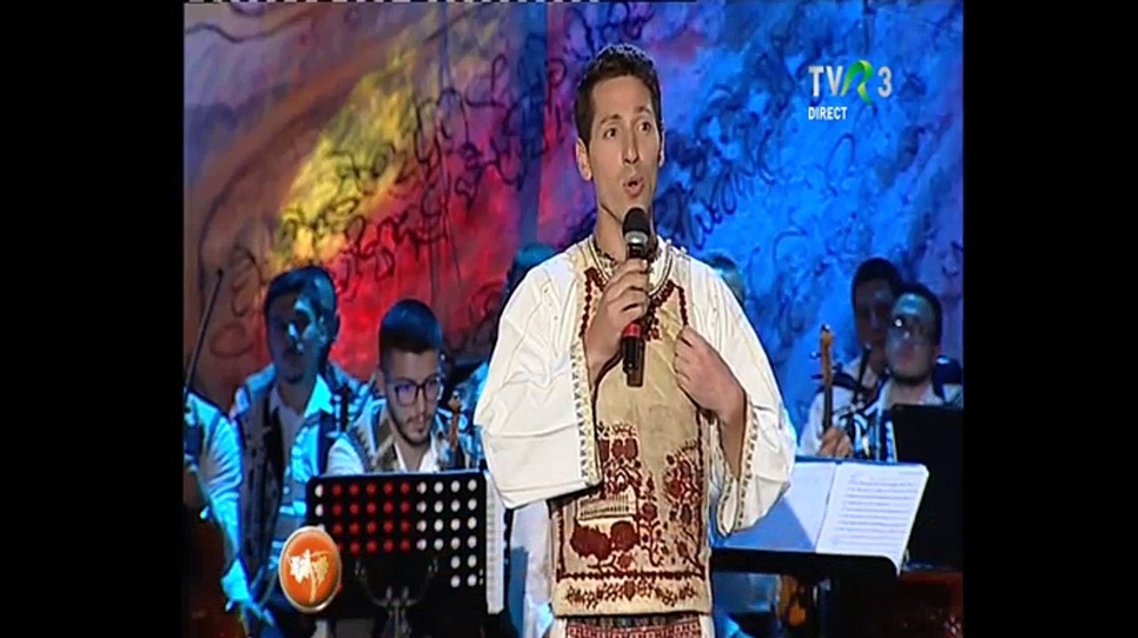 Constantin Oancea - Festivalul National de folclor Strugurele de aur - Alba Iulia - 14.09.2017