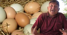 65 Yaşındaki Çiftçiye, Damgasız Sattığı 15 Yumurta İçin 15 Bin Lira Ceza Verildi