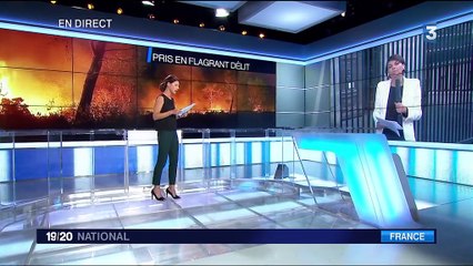 Bouches-du-Rhône : quel est le profil de l'adolescent soupçonné d'être un incendiaire ?