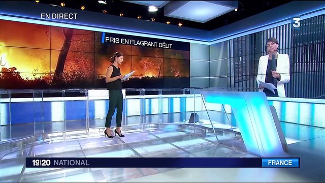 Bouches-du-Rhône : quel est le profil de l'adolescent soupçonné d'être un incendiaire ?